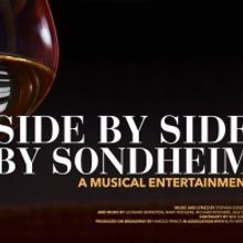 The Repertory Theatre Of St. Louis to Kick  Off The New Year With SIDE BY SIDE BY SON
