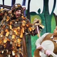 THE GRUFFALO Comes to Warrington in June