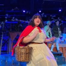 BWW Review: Theater West End's Reimagined INTO THE WOODS Finds Magic in a Forest with