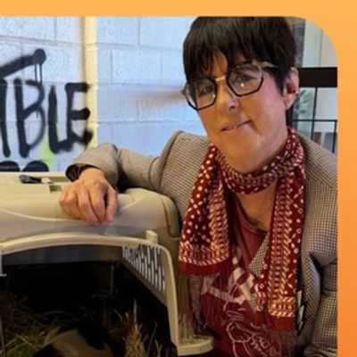 Diane Warren Adopts Viral Runaway Pig From West Hollywood Streets