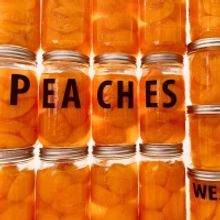 Weslee Releases New Single 'Peaches'