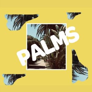 Robohands Releases New Album 'Palms'