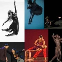 WHITE WAVE Dance Opens Applications For The Sixth Annual SoloDuo Dance Festival Interview
