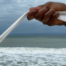 Hermitage Greenfield Prize Winners Return to Sarasota to Present Their Work