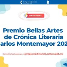 Lanzan Convocatoria Para El Premio Bellas Artes De Crónica Literaria “Carlos Monte