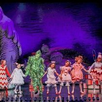 Interview: Andrew Polec of DR. SEUSS’S HOW THE GRINCH STOLE CHRISTMAS! at The Old Globe