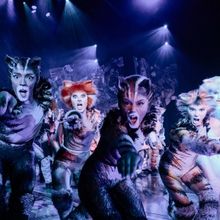 Previews: CATS torna al Teatro Arcimboldi Milano