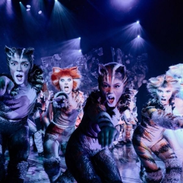 Previews: CATS torna al Teatro Arcimboldi Milano Photo