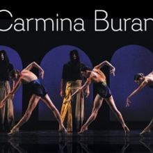 BWW Feature: Celebrate Nevada Ballet Theatre 50th Anniversary Season Finale—CARMIN 