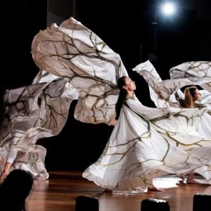 The New York Society For Ethical Culture and Time Lapse Dance Host World Premiere Of…