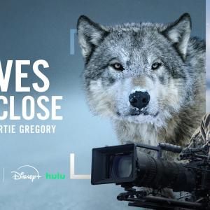 Photos: WOLVES UP CLOSE WITH BERTIE GREGORY to Premiere on National Geographic