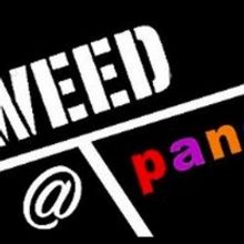 TWEED's Sundays @ 7 @ Pangea  Plans to Continue Performances as Scheduled