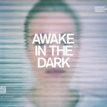 Evenstar Productions to Present AWAKE IN THE DARK Based On Shira Nayman's Bestselling