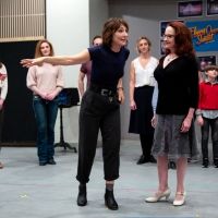 TV: What Is FLYING OVER SUNSET All About? The Broadway Cast Explains!