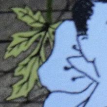 BWW Review: THE MAGIC FLUTE at Dorothy Chandler Pavilion