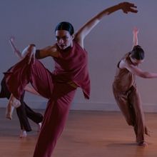 Chicago Movement Collective and Winifred Haun & Dancers to Present PERSISTENT SPRING