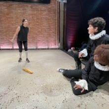 Interview: Ana Karneza of TWELFTH NIGHT at 4th Wall Theatre Company