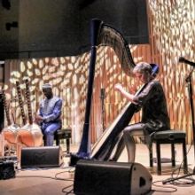 Summer Events Announced In The Howard Assembly Room, Leeds