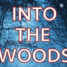 Arden Theatre Company Announces New Production of Sondheim's INTO THE WOODS