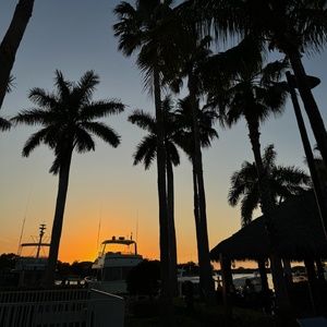 Student Blog: Home for the Holidays: The Importance of Recharging Photo