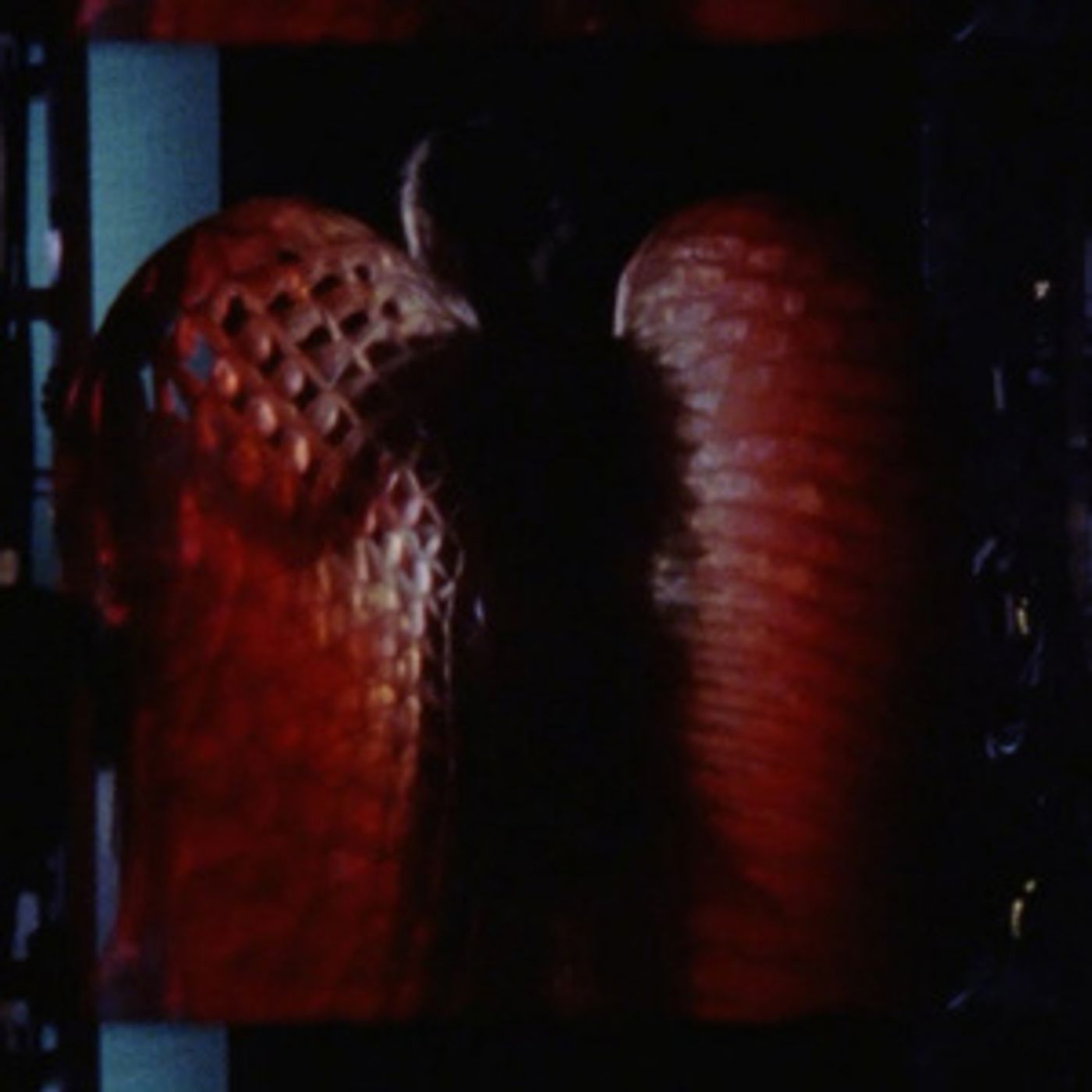 Wake Up With BroadwayWorld December 16, 2025 - TITANIQUE Broadway Run Announced and More  Image