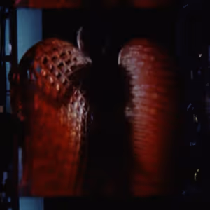 Video: New York City Ballet Reflects on Fall Season With Latest Super8 Mixtape