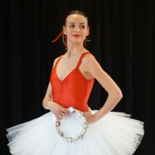 North Shore Civic Ballet to Seek Donations for Annual Holiday Auction