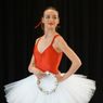 North Shore Civic Ballet to Seek Donations for Annual Holiday Auction