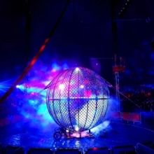 The Circus is Coming to New Jersey!