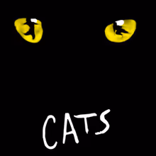 Review: CATS THE MUSICAL at the Grand Theatre, Xiqu Centre
