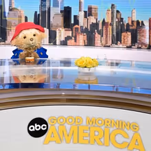 Video/Photos: PADDINGTON Visits GOOD MORNING AMERICA for Broadway Announcement