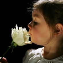 Stories On Stage Celebrates Their 20th Anniversary Season