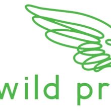 Lineup Unveiled for W.O.(e).R.D. – ON THE VERGE Festival