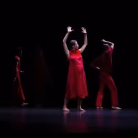 Review: Cullberg in HORSE, THE SOLOS AT The Joyce Theater