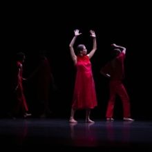 Review: Cullberg in HORSE, THE SOLOS AT The Joyce Theater