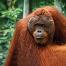 Wilderland Film Festival Heads to Cork