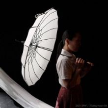 WHITE WAVE Dance to Present the 21st Annual Virtual Dumbo Dance Festival