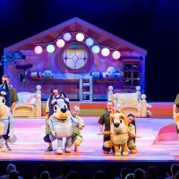 Review | BLUEY'S BIG PLAY: THE STAGE SHOW