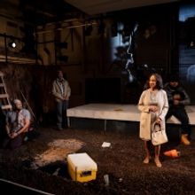 BWW Review: HART ISLAND at The Gym at Judson