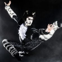 BWW Review: CATS at Orpheum Theater