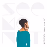 Gerd Janson Remixes SeeMeNot's 'Rapture'