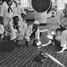 South Street Seaport Museum Hosts Author Peggy Gavan in Discussion of Seafaring Cats