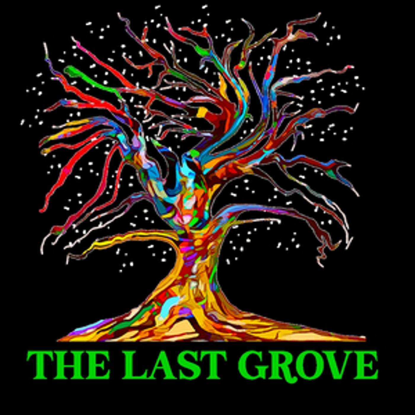 BWW Blog: Everything We Do, We Do in Community  Image