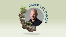 UNDER THE CANOPY to Open With Melbourne Chamber Orchestra and Accordionist James Crab