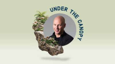 UNDER THE CANOPY to Open With Melbourne Chamber Orchestra and Accordionist James Crabb