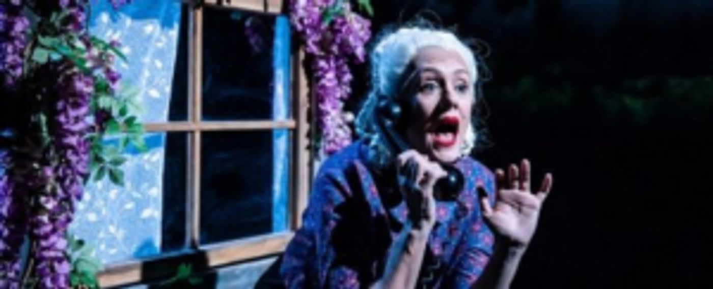 I'M A PHOENIX, BITCH Comes to Arts Centre Melbourne  Image