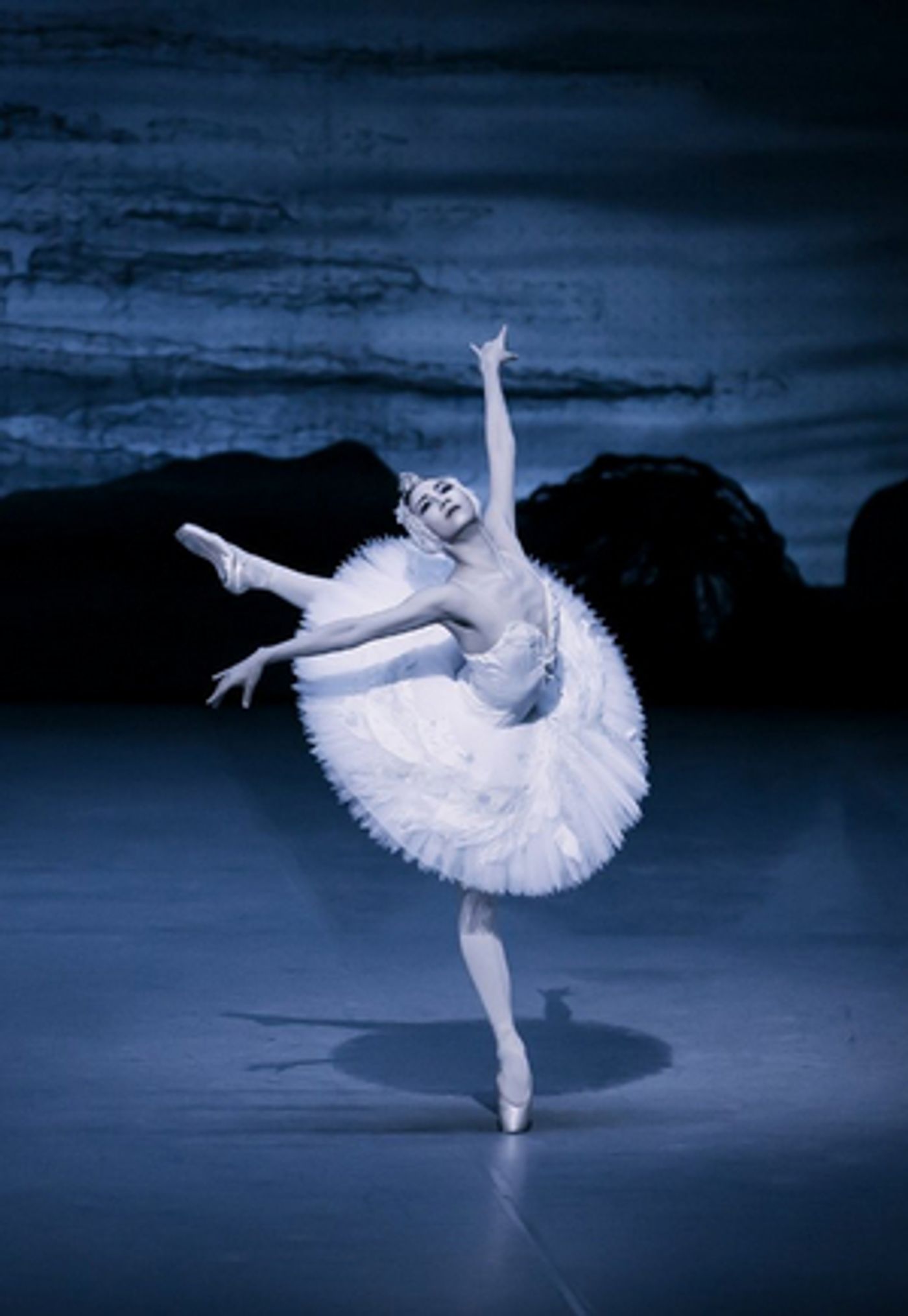 SWAN LAKE to Play at Seoul Arts Center  Image