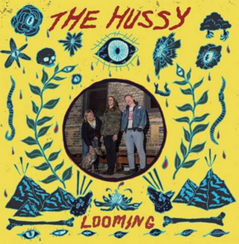 Dirtnap Records Announces New LP from the Hussy Image