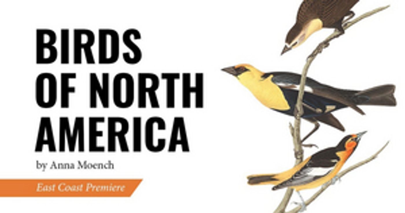 Review: BIRDS OF NORTH AMERICA at Thrown Stone Theatre Company  Image