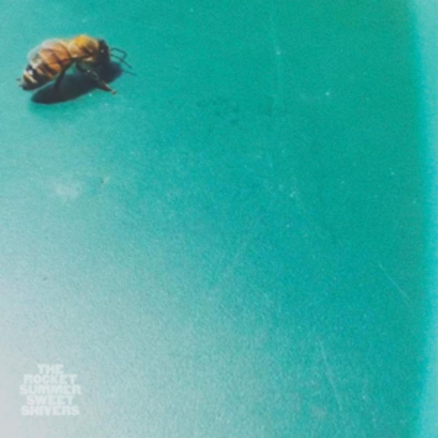 The Rocket Summer Shares New Single BLANKETS  Image